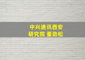 中兴通讯西安研究院 董劲松